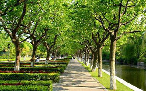 儀隴縣職業高級中學2023招生專業有哪些?酒店及旅游管理專業好不好